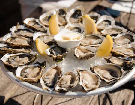 oysters