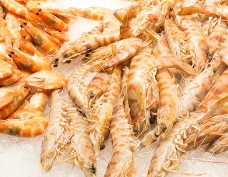 shrimps in fish market