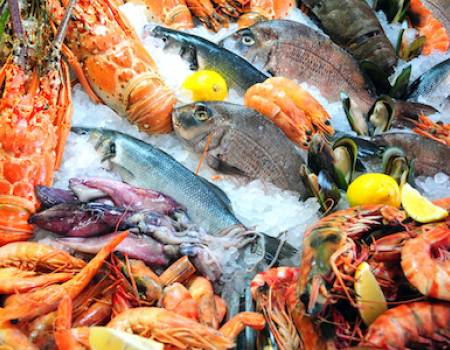 variety at fish market